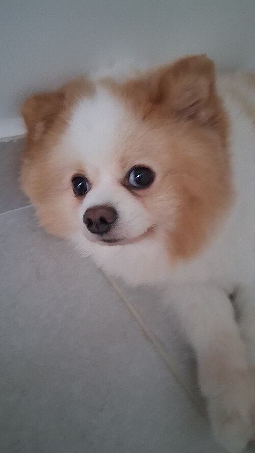 雨天的图书馆